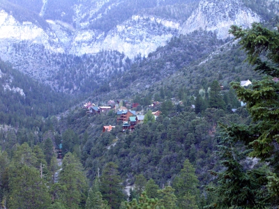 [View of mountain homes nestled among the trees.]